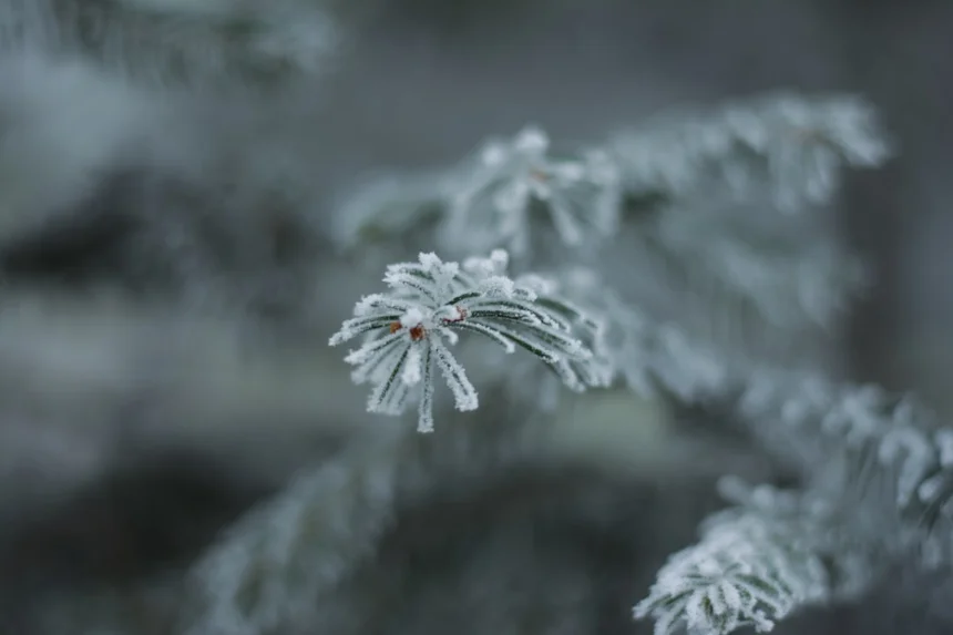 Freezing