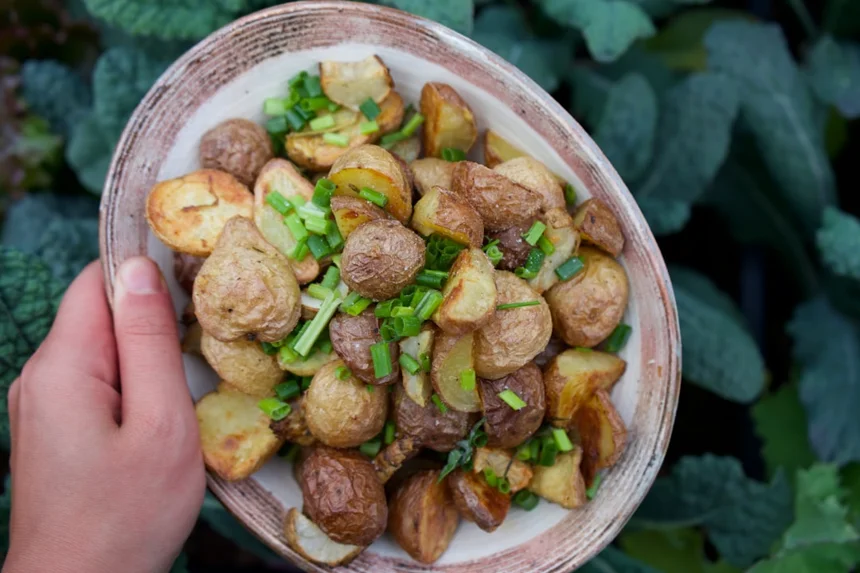 Recipe.